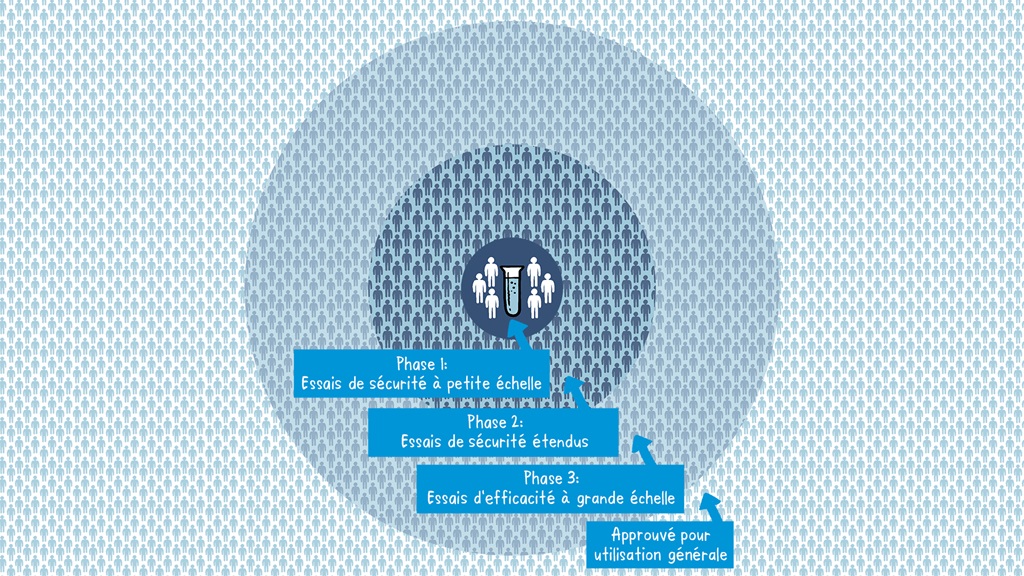 Illustration sur les différentes étapes du développement d'un vaccin