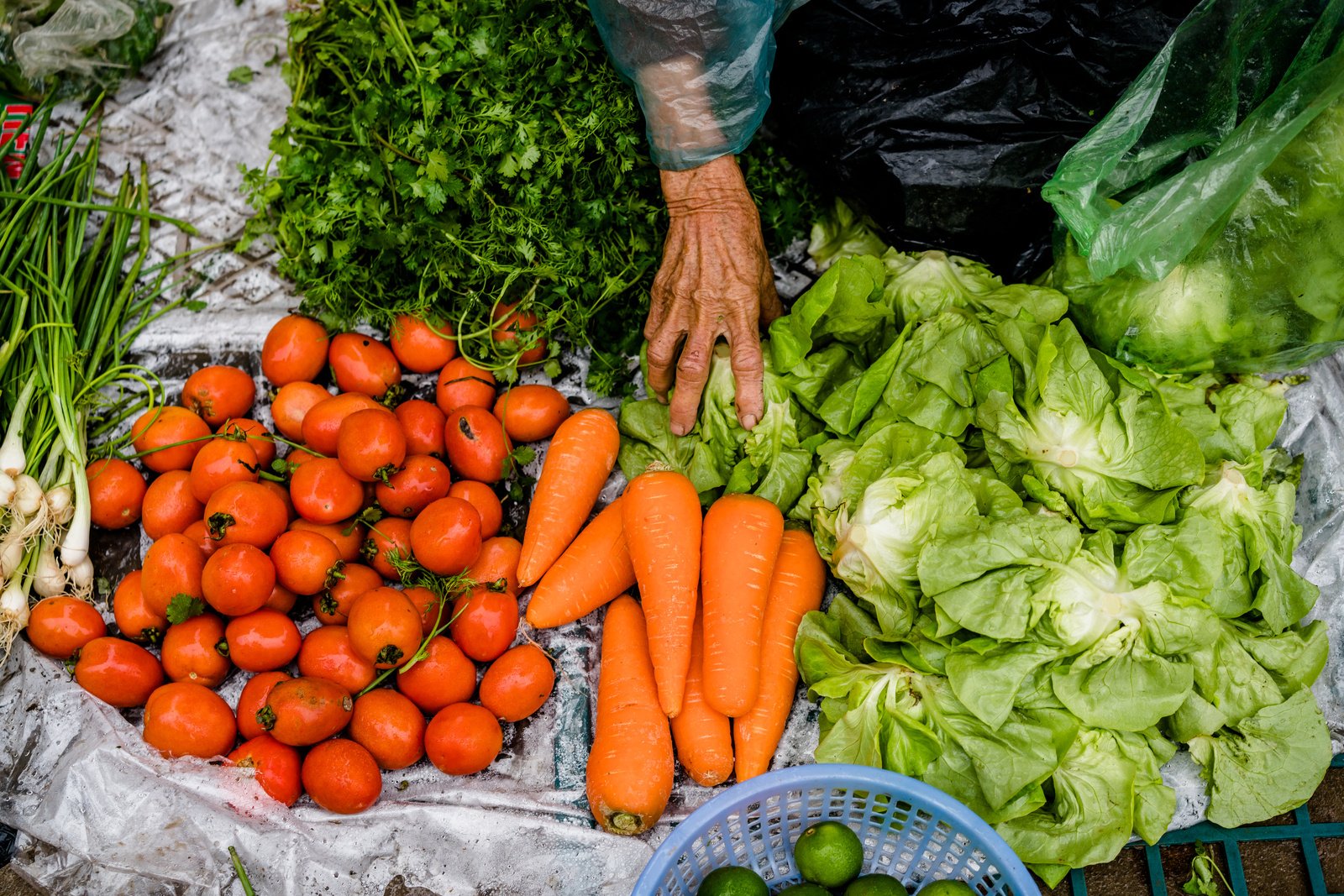 Vegetables are sold in a small local market in Doi Son village, Ha Nam Province, Vietnam.