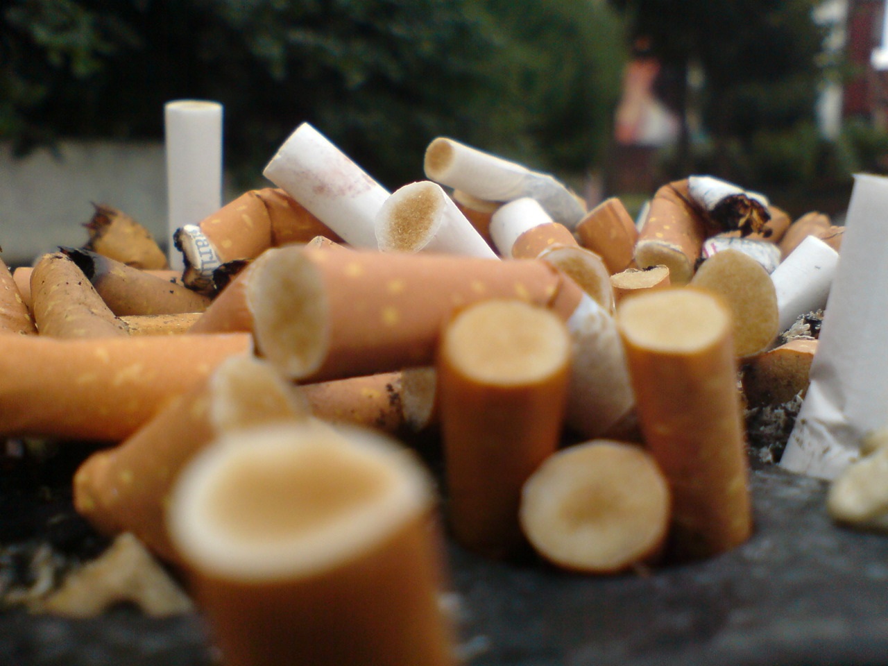 tobacco control cigarette tips